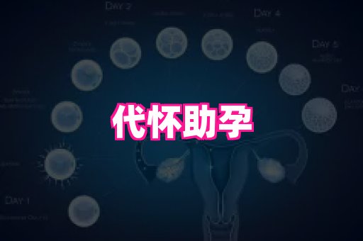天津助孕网站 4